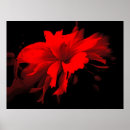 Recherche de style 2 de fleu art Floral