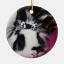 Recherche de lapin de noël Noir et blanc