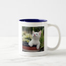 Recherche de premier plan tasses Photographie