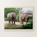 Recherche de éléphant africain puzzles Toute personne