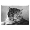 Recherche de photo copies de chat Félin