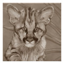 Recherche de peintures chaton posters Toute personne