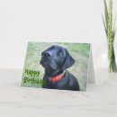 Recherche de chienchien vœux cartes Labrador