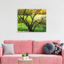 Recherche de arbre de bouleau toiles Nature