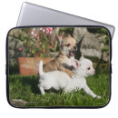 Recherche de chiwawa macbook housses Blanc