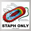 Recherche de agrafe posters Humour