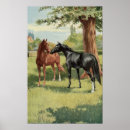 Recherche de pouliches posters Équestre