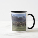 Recherche de habitat tasses Faune