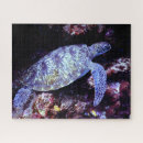 Recherche de tortue de mer puzzles Aquatique