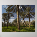 Recherche de tunisien posters Walter bibikow