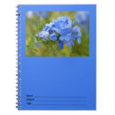 Recherche de fleurit des images Floral