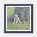 Recherche de cadre bleu magnets Mignon