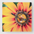 Recherche de extrême horloges Jour