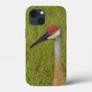 Recherche de ornithologie iphone coques Animal