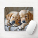 Recherche de compagnon tapis souris Dog