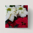 Recherche de poinsettia badges Vacances