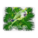 Recherche de perroquets magnets Aquarelle
