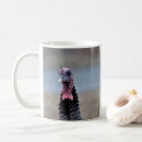 Recherche de dinde de thanksgiving photographie Oiseaux