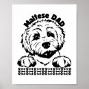 Recherche de noir loups posters Dog