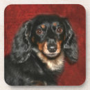 Recherche de teckel dessous de verres Animal