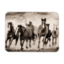 Recherche de chasse magnets Photographie