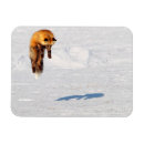 Recherche de sauteur magnets Hiver