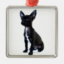 Recherche de chien de chiwawa ornements Chiens