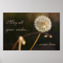 Recherche de taraxacum posters Nature