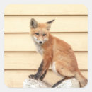 Recherche de kit autocollants Animal