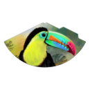 Recherche de peinture toucan Exotique