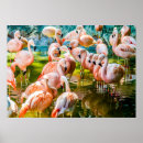 Recherche de rose flamant posters Animaux