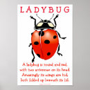Recherche de insecte de dame posters Jardin