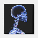 Recherche de os magnets Humain