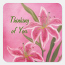 Recherche de julia autocollants Rose