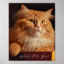 Recherche de chat gingembre posters Portrait