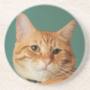 Recherche de chat minou de dessous de verres Félin