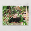 Recherche de brique cartes postales Photographie