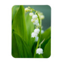 Recherche de bouquets magnets Ressort