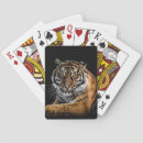 Recherche de tigre jeux de cartes Safari