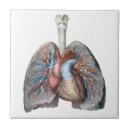 Recherche de hôpital carreaux Médecine