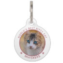 Recherche de pet animaux articles Cats