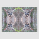 Recherche de panthère photographie Lion de montagne
