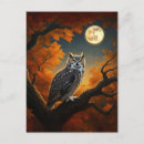 Recherche de rapace cartes postales Nuit