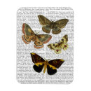 Recherche de papillons magnets Antique
