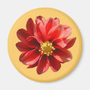Recherche de dahlia magnets Floral