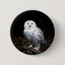 Recherche de hiboux badges Oiseau