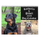 Recherche de pitbull bureau fournitures Animal