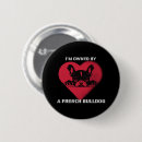 Recherche de bouledogue francais badges Chiot