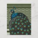 Recherche de paons cartes postales Amoureux de paon