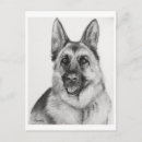 Recherche de dessin chien berger allemand cartes invitations Chien de police